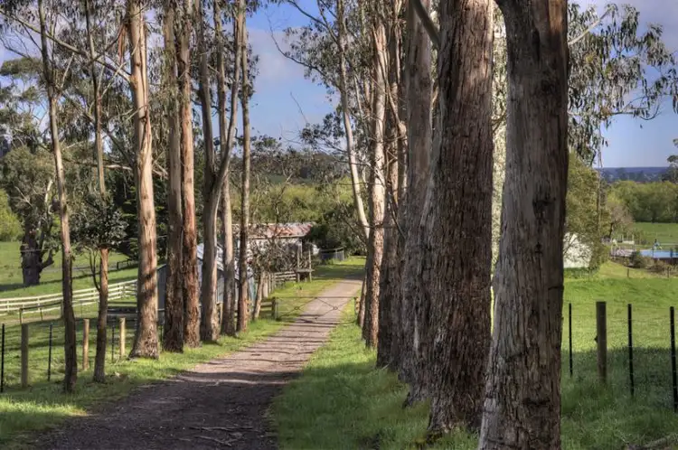 Main view of Homely rural property listing, 170 Caspers Access, Forrest VIC 3236