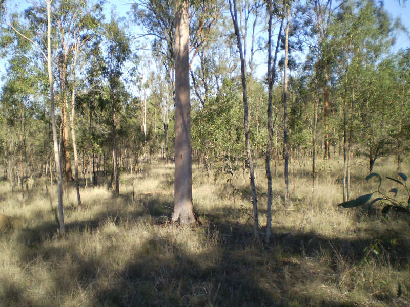 Fifth view of Homely land listing, Address available on request