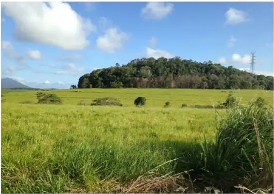 Second view of Homely land listing, Lot 5 Garioch Heights Road, Julatten QLD 4871