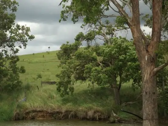 Second view of Homely land listing, 350 Brookers Road Shannon Brook, Casino NSW 2470