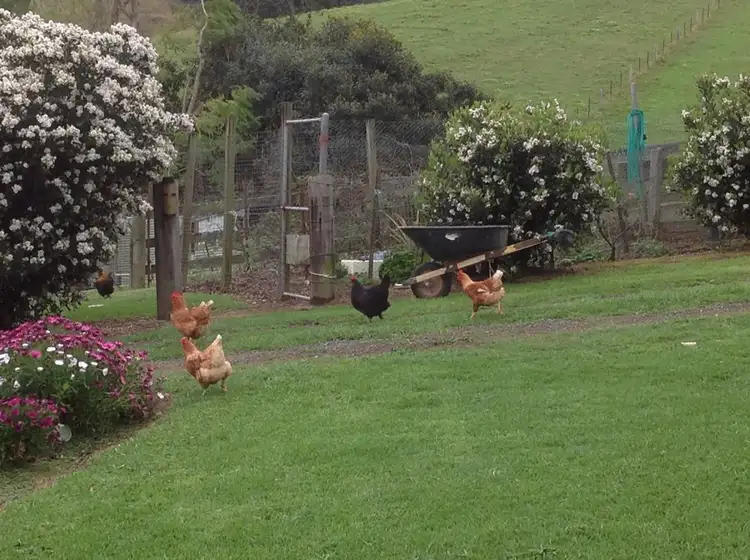 Third view of Homely rural property listing, Address available on request