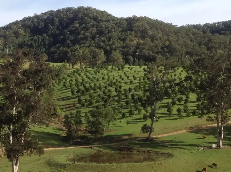 Fifth view of Homely rural property listing, Address available on request