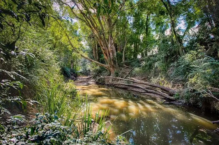 Fourth view of Homely rural property listing, 454 Randwick Road, East Deep Creek QLD 4570