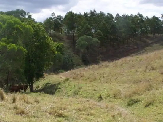 Sixth view of Homely rural property listing, Address available on request