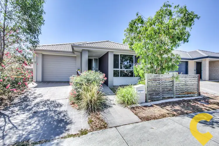 Main view of Homely house listing, 50 Carnarvon Avenue, Springfield Lakes QLD 4300