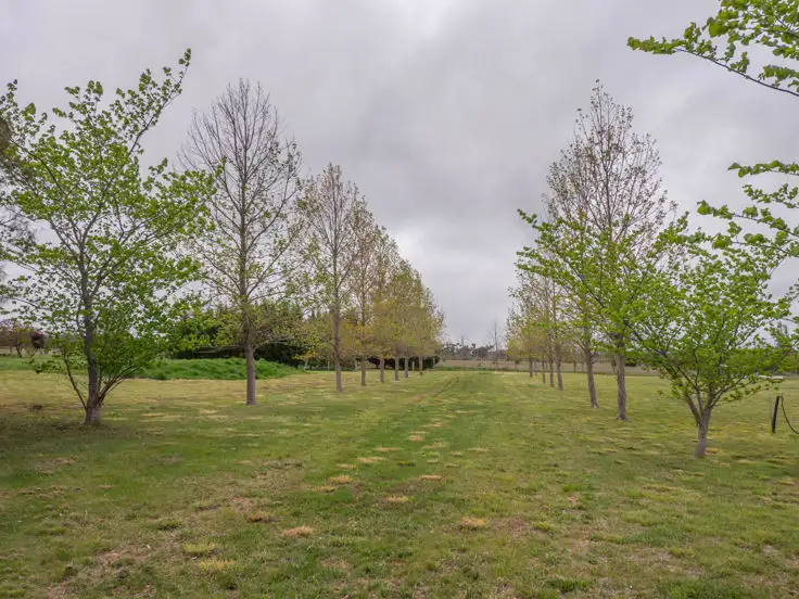 Main view of Homely land listing, 36 Post Way, Armidale NSW 2350