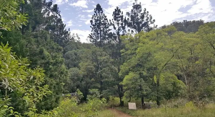 Fourth view of Homely rural property listing, 1035 Eden Creek Road - Upper Eden Creek, Kyogle NSW 2474