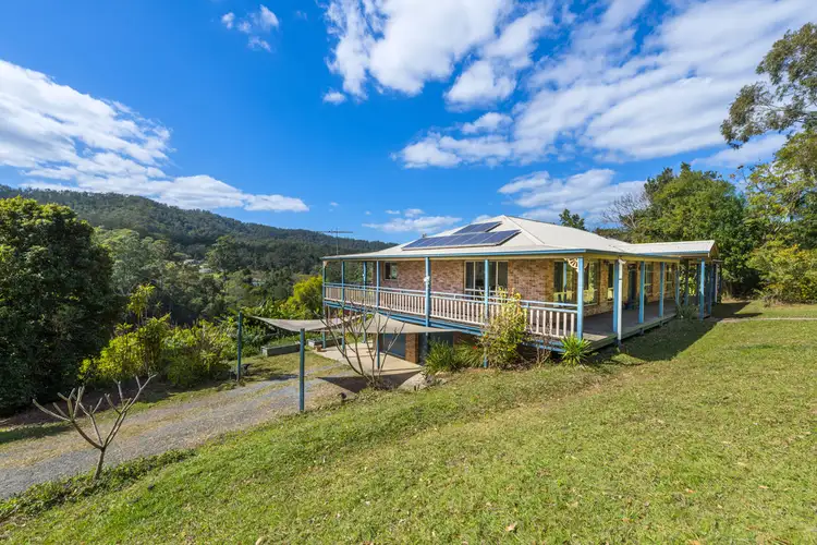595 Bowraville Road, Bellingen NSW 2454