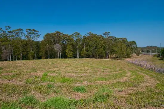 Third view of Homely land listing, Lot 115 Lakeview Estate, Bonville NSW 2441