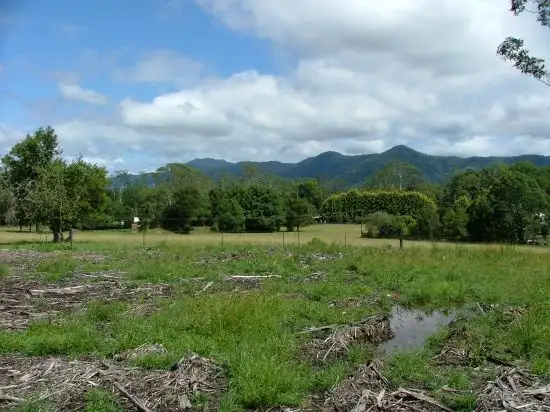 Main view of Homely land listing, Lot 562 Cabbage Palm Lane, Bonville NSW 2441