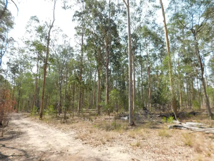 Fourth view of Homely rural property listing, Lot 105 & 106 Moonem New Italy Road, New Italy NSW 2472