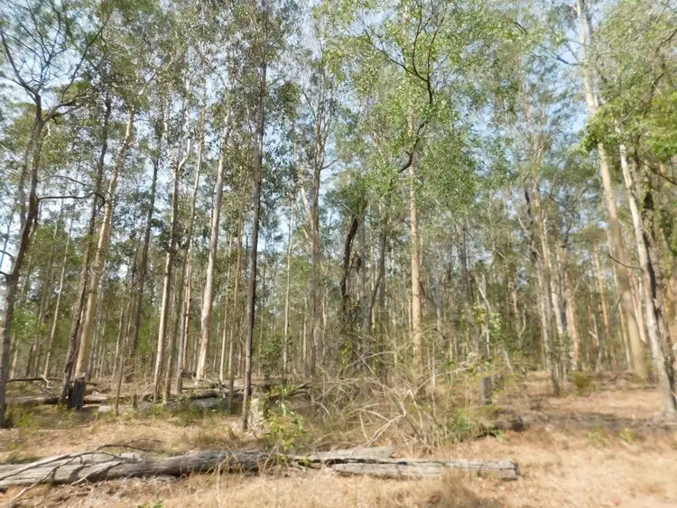Fifth view of Homely rural property listing, Lot 105 & 106 Moonem New Italy Road, New Italy NSW 2472