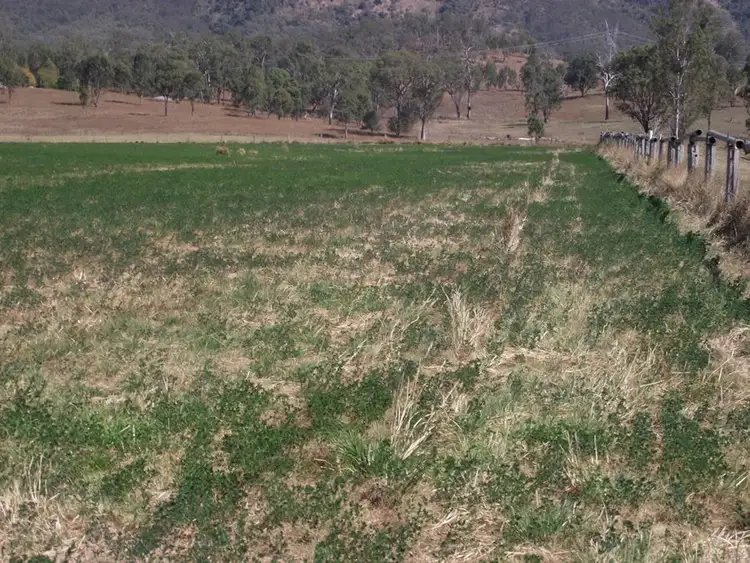 Seventh view of Homely rural property listing, 176 Pike Road, Woolooga QLD 4570