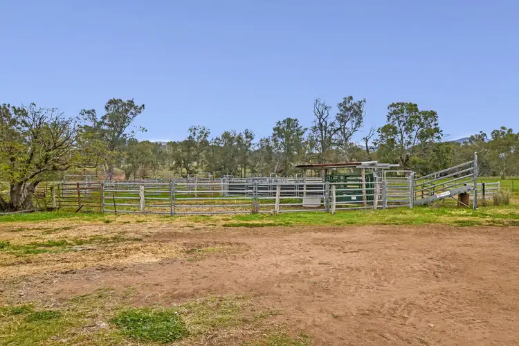 Third view of Homely rural property listing, 1460 Piallaway Road, Currabubula NSW 2342