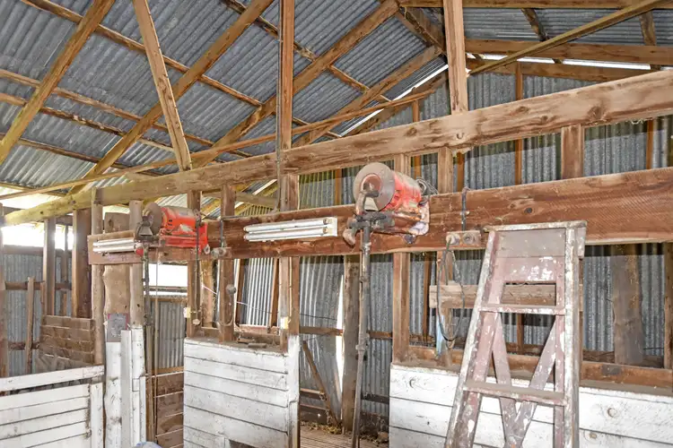 Fifth view of Homely rural property listing, 1460 Piallaway Road, Currabubula NSW 2342