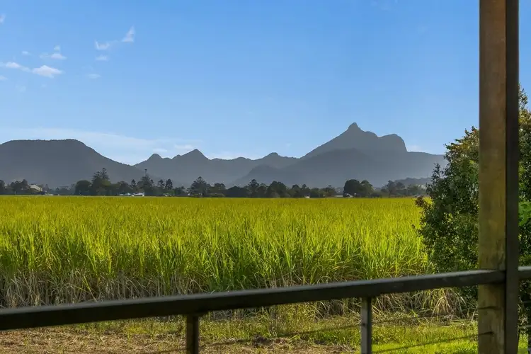 Third view of Homely house listing, 8336 Tweed Valley Way, Condong NSW 2484