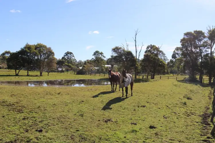 Second view of Homely house listing, 11 Brookfield Close, Jilliby NSW 2259