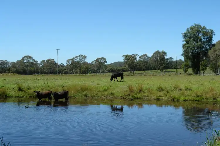 Third view of Homely rural property listing, 66 Watagan Forest Drive, Jilliby NSW 2259