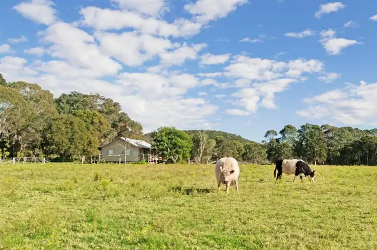 Fourth view of Homely rural property listing, 9 Watagan Forest Drive, Jilliby NSW 2259