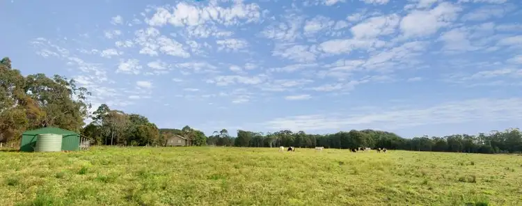 Seventh view of Homely rural property listing, 9 Watagan Forest Drive, Jilliby NSW 2259