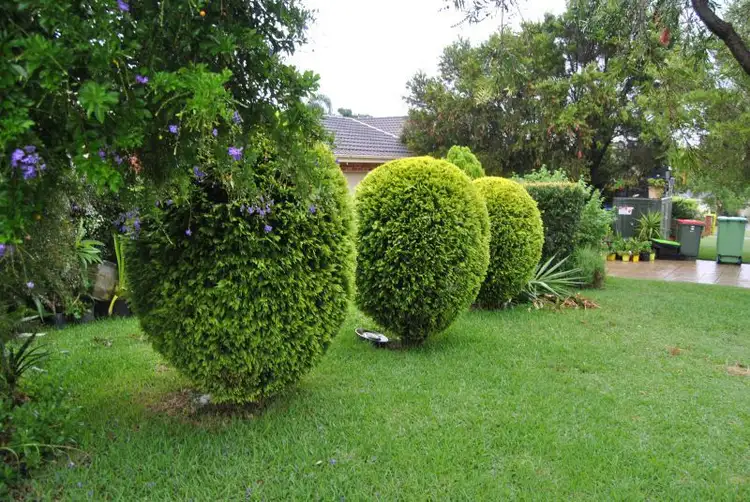 Fifth view of Homely house listing, 42 Christopher Cresent, Lake Haven NSW 2263