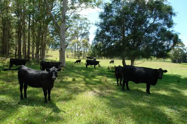 Seventh view of Homely land listing, Lot 4 Woods Road, Jilliby NSW 2259