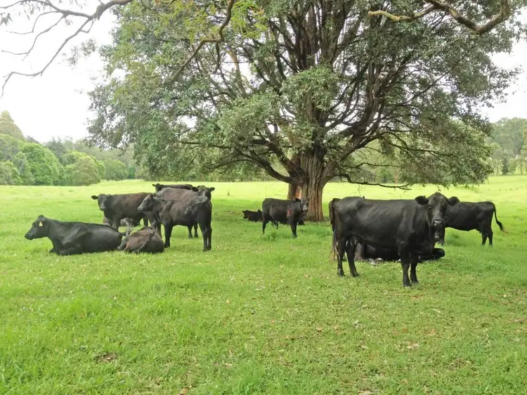 Lot 3 Woods Road, Jilliby NSW 2259