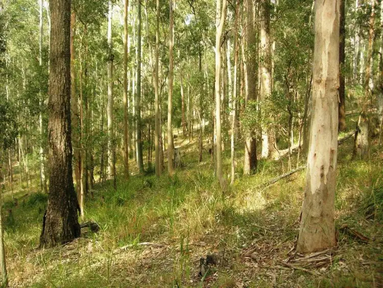 Seventh view of Homely land listing, Lot 15 Woods Road, Jilliby NSW 2259