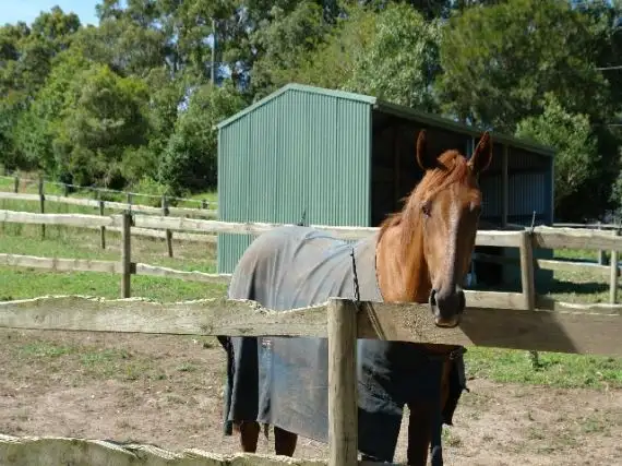 50 Berkeley  Road, Glenning Valley NSW 2261