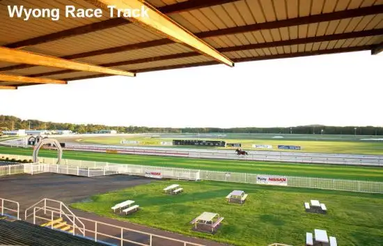 Seventh view of Homely house listing, 4 Manor Close, Wyong NSW 2259