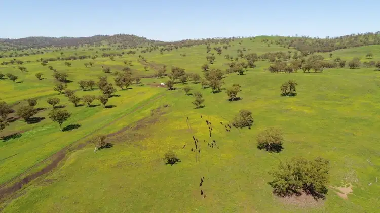 Main view of Homely rural property listing, 460 Kars Springs Road, Scone NSW 2337