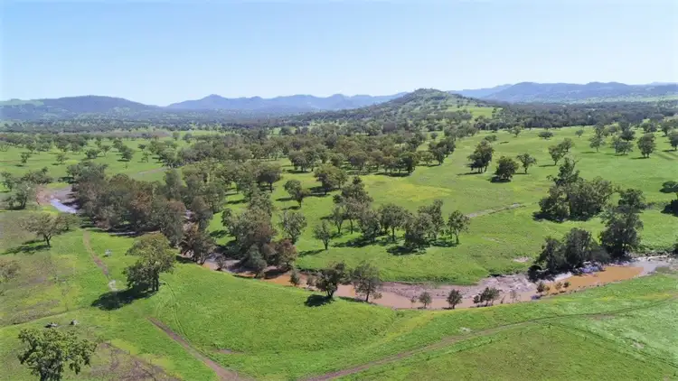 Third view of Homely rural property listing, 460 Kars Springs Road, Scone NSW 2337