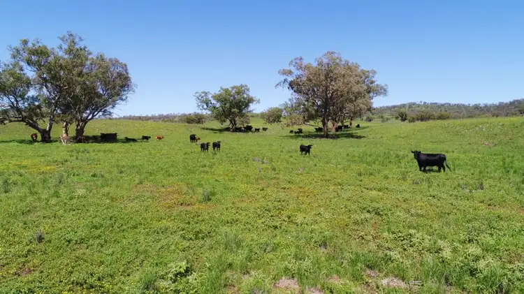 Fourth view of Homely rural property listing, 460 Kars Springs Road, Scone NSW 2337