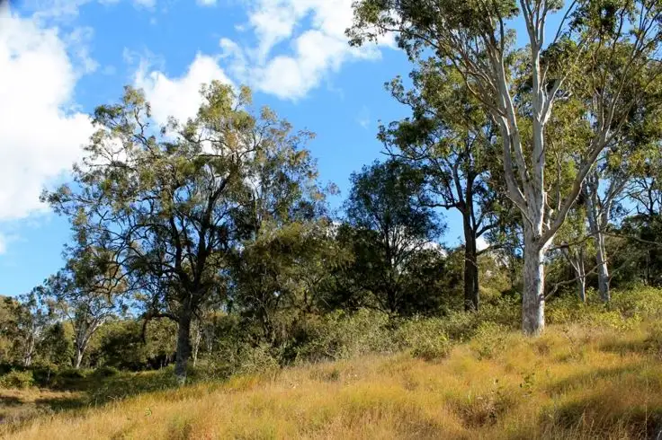 Second view of Homely rural property listing, Lots 5 & 89 Summerland Way - Old Grevillia, Kyogle NSW 2474