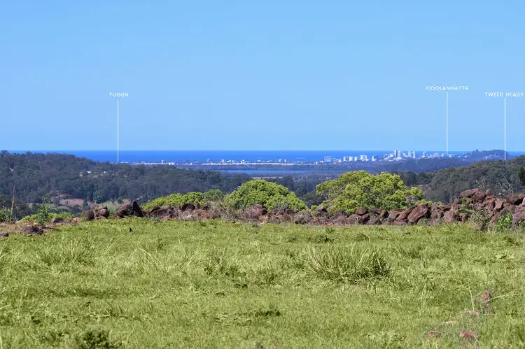 Main view of Homely rural property listing, 17 Pine Tree Place, Piggabeen NSW 2486