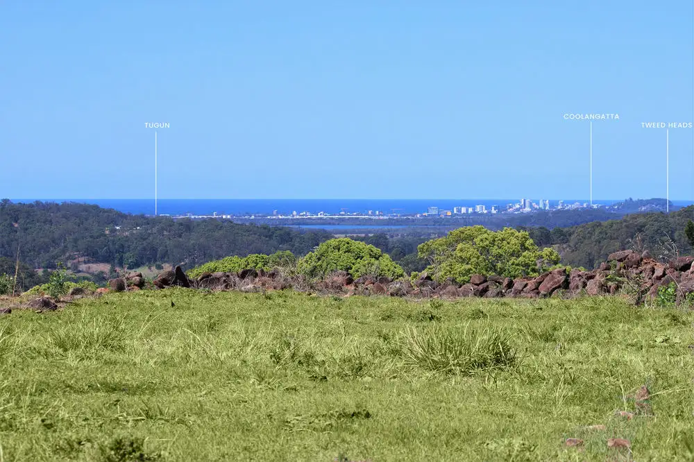 Main view of Homely rural property listing, 17 Pine Tree Place, Piggabeen NSW 2486