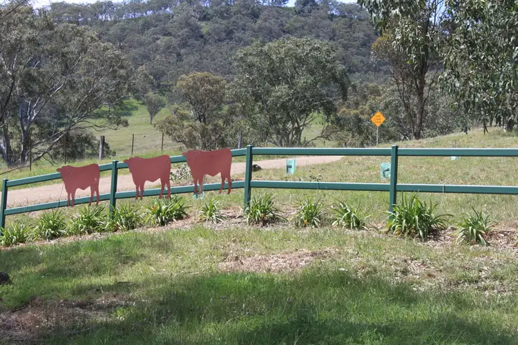 Seventh view of Homely rural property listing, 460 Stoney Creek Road, Rouchel NSW 2336