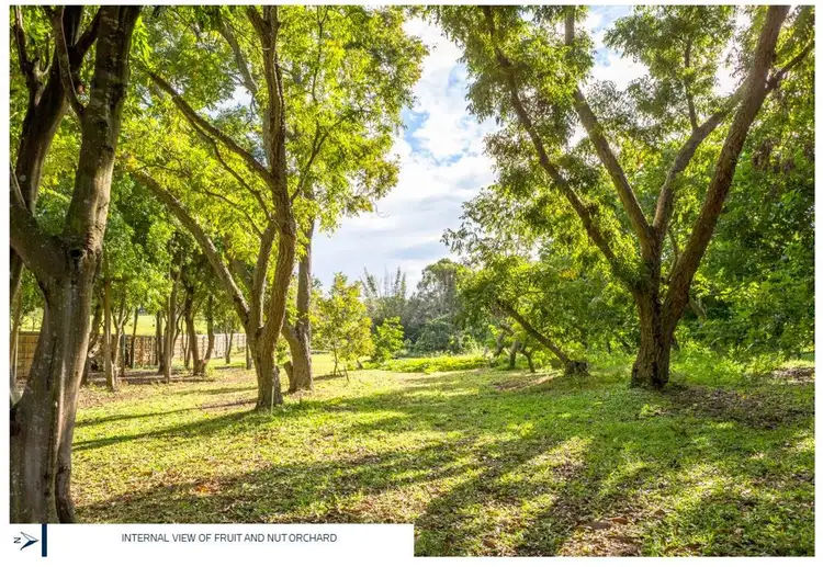 Seventh view of Homely house listing, 400 Miles Platting Road, Rochedale QLD 4123