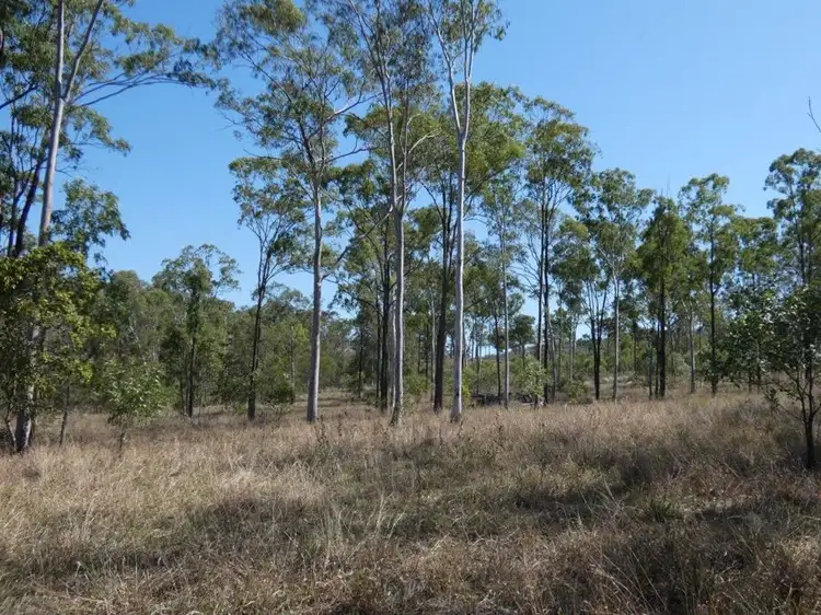 Second view of Homely rural property listing, 909 Hills Road, Mount Maria QLD 4674