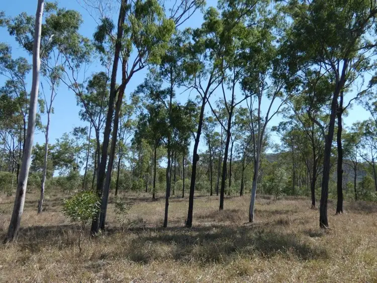 Seventh view of Homely rural property listing, 909 Hills Road, Mount Maria QLD 4674