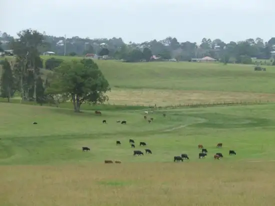 Fourth view of Homely rural property listing, Address available on request