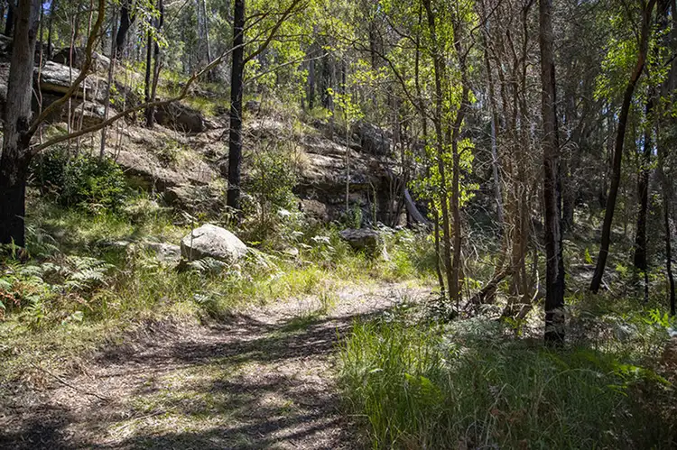 Second view of Homely house listing, 46 Bunning Creek Road, Yarramalong NSW 2259