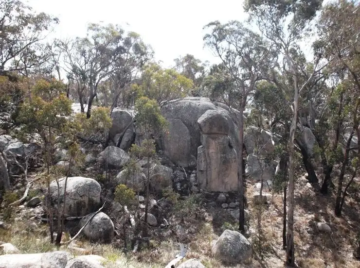 Second view of Homely house listing, 114 Parrish Lane, Eukey QLD 4380