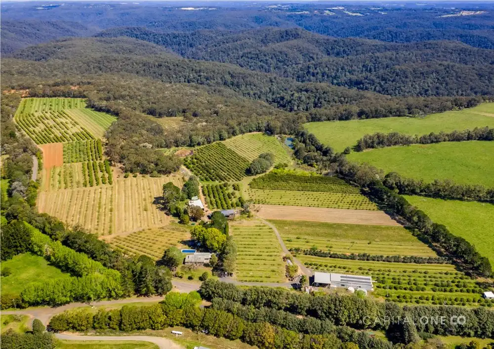 Main view of Homely rural property listing, 323 Forest Road, Kulnura NSW 2250