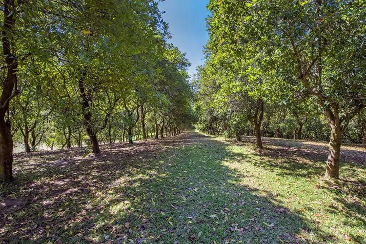 205 Mitchells Road, Valla NSW 2448