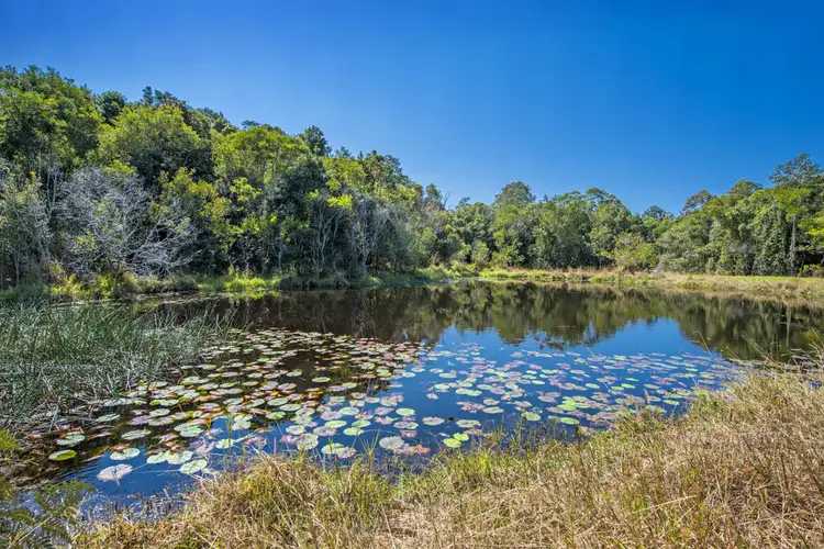 Fourth view of Homely house listing, 205 Mitchells Road, Valla NSW 2448