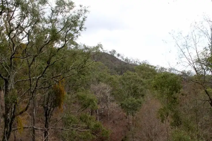 Seventh view of Homely rural property listing, Lots 78 & 91 Summerland Way - Old Grevillia, Kyogle NSW 2474