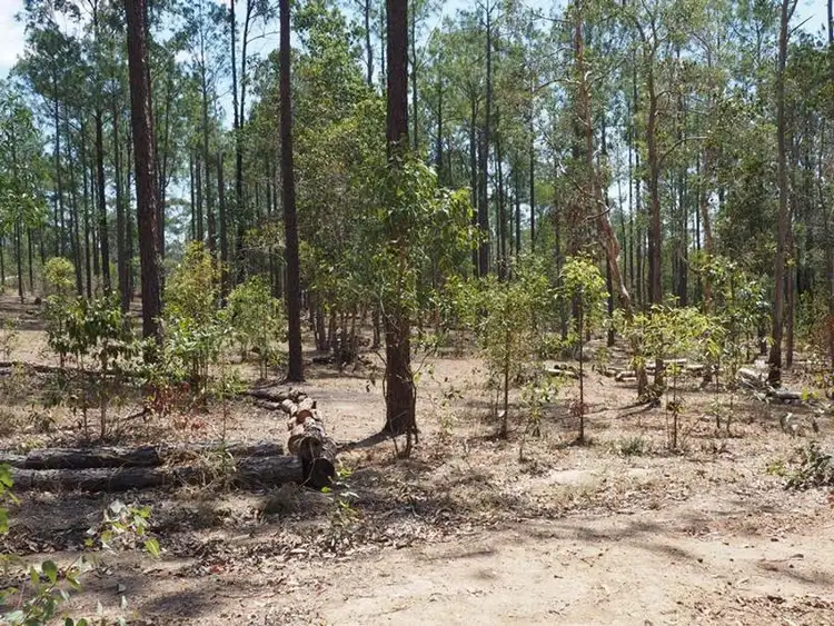 Third view of Homely land listing, Lot 810 Arborthirty-one Road, Glenwood QLD 4570