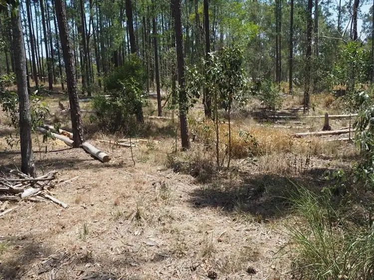 Sixth view of Homely land listing, Lot 810 Arborthirty-one Road, Glenwood QLD 4570
