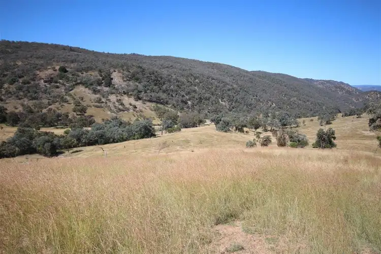 Fifth view of Homely rural property listing, Mole Station Road, Tenterfield NSW 2372